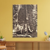 Toile Base du géant du Grizzly, du livre 'Le Yosemite (Insitu(Salon))