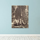 Toile Base du géant du Grizzly, du livre 'Le Yosemite (Insitu (Plancher de Bois))