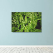 Toile Basil Fine Art (Insitu (Plancher de Bois))