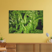 Toile Basil Fine Art (Insitu(Salon))