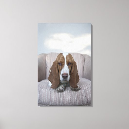 Toile Basset Hound (Recto)