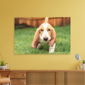 Toile Basset Hound chiot marchant (Insitu(Salon))