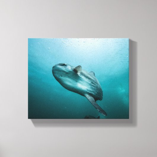 Toile Bassin (Recto)