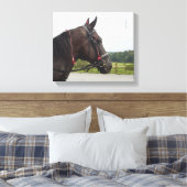 Toile Bay Walker Mare (Insitu(Chambre))