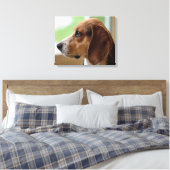 Toile Beagle rêvassant (Insitu(Chambre))