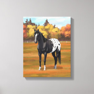 Toile Beau Appaloosa Noir Quarter Horse Stallion