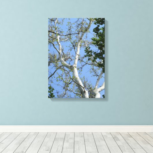 Toile Beau arbre simple et mur du ciel (Insitu (Plancher de Bois))