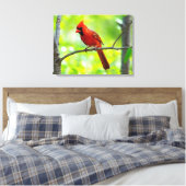 Toile Beau cardinal rouge vif dans un arbre (Insitu(Chambre))