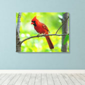 Toile Beau cardinal rouge vif dans un arbre (Insitu (Plancher de Bois))