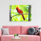Toile Beau cardinal rouge vif dans un arbre (Insitu(Salon))