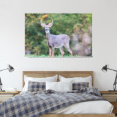Toile Beau cerf à queue blanche en champ (Insitu(Chambre))