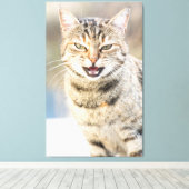 Toile Beau chat (Insitu (Plancher de Bois))