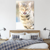 Toile Beau chat (Insitu(Chambre))