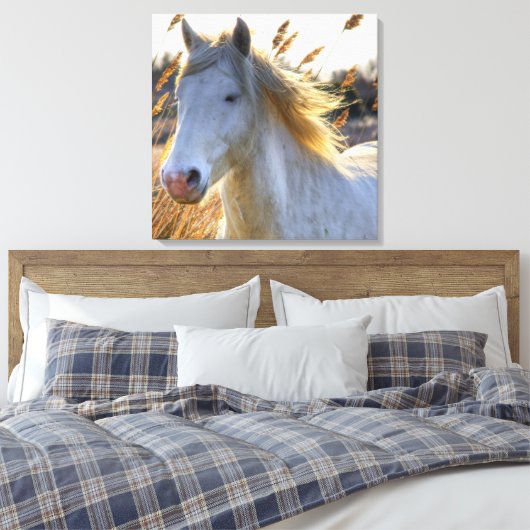 Toile Beau Cheval (Insitu(Chambre))