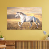 Toile Beau cheval ibérique dans la prairie au coucher du (Insitu(Salon))