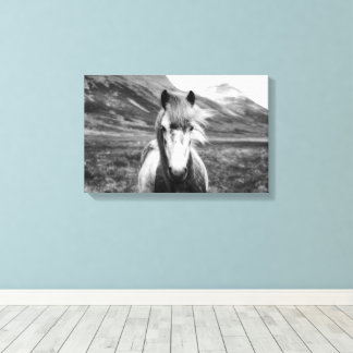 Toile Beau Cheval Sauvage Noir et Blanc