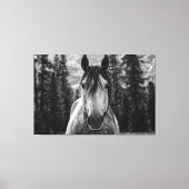 Toile Beau Cheval Spirité Sauvage Noir et Blanc (Recto)