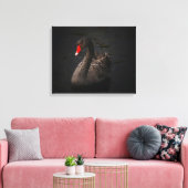 Toile Beau cygne noir avec un bec rouge vif (Insitu(Salon))