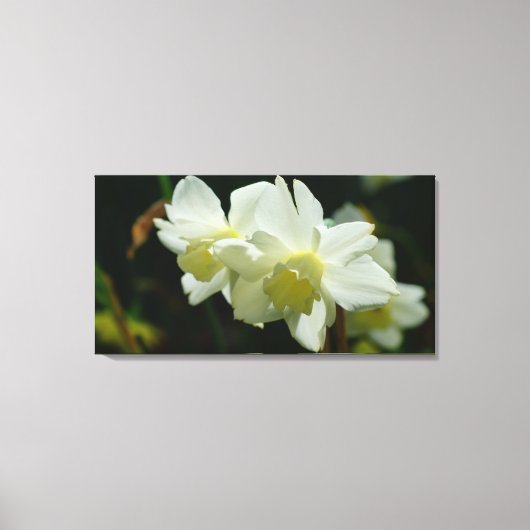 Toile Beau en blanc (Recto)