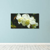 Toile Beau en blanc (Insitu (Plancher de Bois))