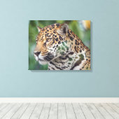 Toile Beau Jaguar dans la nature (Insitu (Plancher de Bois))