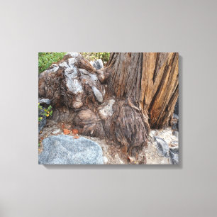 Toile Beau Lac Tahoe Paysage
