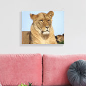 Toile Beau Lion reposant dans la nature (Insitu(Salon))