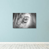 Toile Beau Oeil de Cheval Noir et Blanc (Insitu (Plancher de Bois))