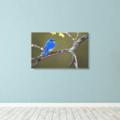 Toile Beau oiseau bleu de l'Est (Insitu (Plancher de Bois))