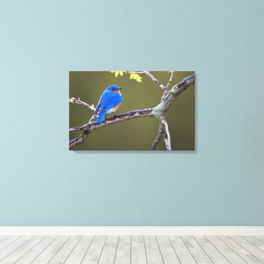 Toile Beau oiseau bleu de l'Est (Insitu (Plancher de Bois))