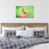Toile Beau Oiseau Cardinal Rouge (Insitu(Chambre))