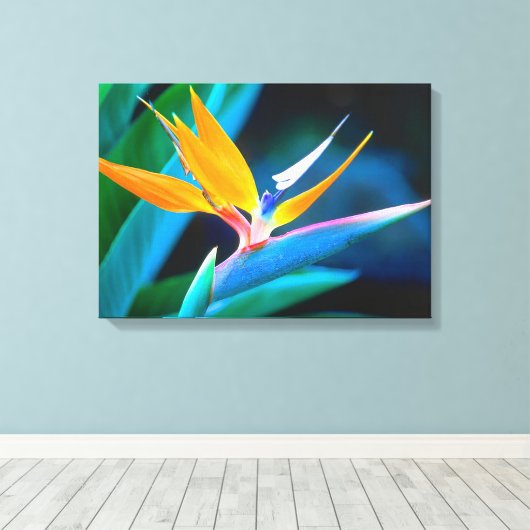 Toile Beau Oiseau Unique de Canvas Paradise (Insitu (Plancher de Bois))