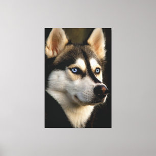 Toile Beau Oreiller Husky Lrow
