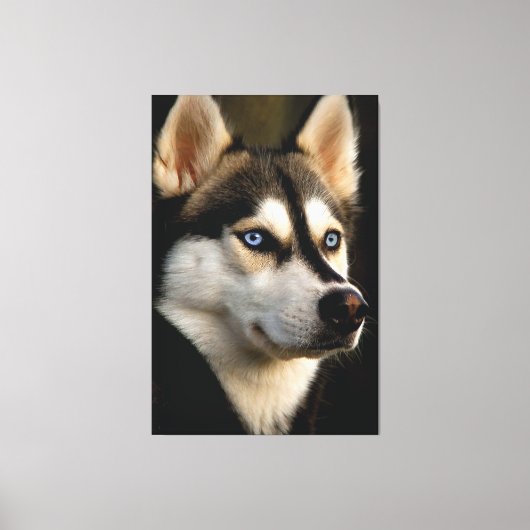 Toile Beau Oreiller Husky Lrow (Recto)