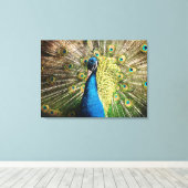 Toile Beau paon (Insitu (Plancher de Bois))