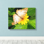 Toile beau papillon blanc moth fleur jaune (Insitu (Plancher de Bois))