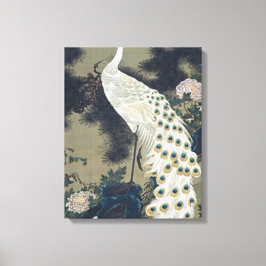 Toile Beau Peacock Blanc Japonais (Recto)