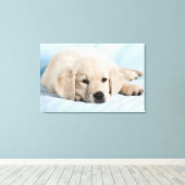 Toile Beau Petit Chiot (Insitu (Plancher de Bois))