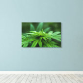 Toile Beau Plante de mauvaises herbes (Insitu (Plancher de Bois))