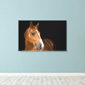 Toile Beau Quarter Horse Photo Canvas (Insitu (Plancher de Bois))