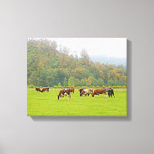 Beau ranch, vaches et pâturage vert, scène de ferm