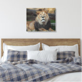 Toile Beau repos du lion nord-africain (Insitu(Chambre))