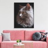 Toile Beau Russe Blue Grey Chat Nebelung (Insitu(Salon))