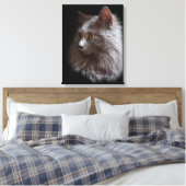 Toile Beau Russe Blue Grey Chat Nebelung (Insitu(Chambre))