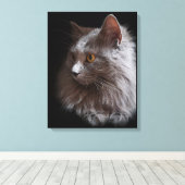 Toile Beau Russe Blue Grey Chat Nebelung (Insitu (Plancher de Bois))