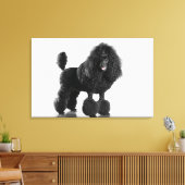 Toile Beau, taillé, noir, corps complet de caniche (Insitu(Salon))