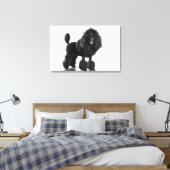 Toile Beau, taillé, noir, corps complet de caniche (Insitu(Chambre))
