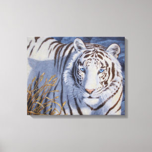 Toile Beau tigre blanc aux yeux bleu cristal