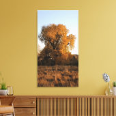 Toile Beauté du Colorado (Insitu(Salon))