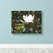 Toile Beautiful Magnolia Flower (Insitu (Plancher de Bois))